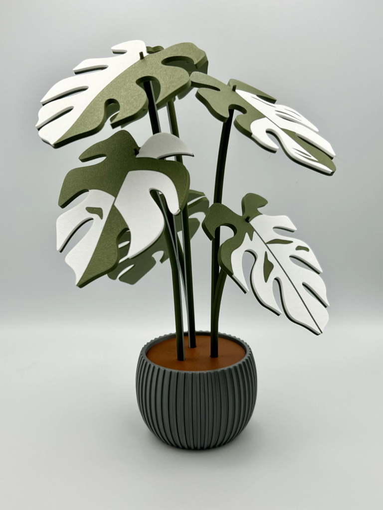 Monstera coaster in use