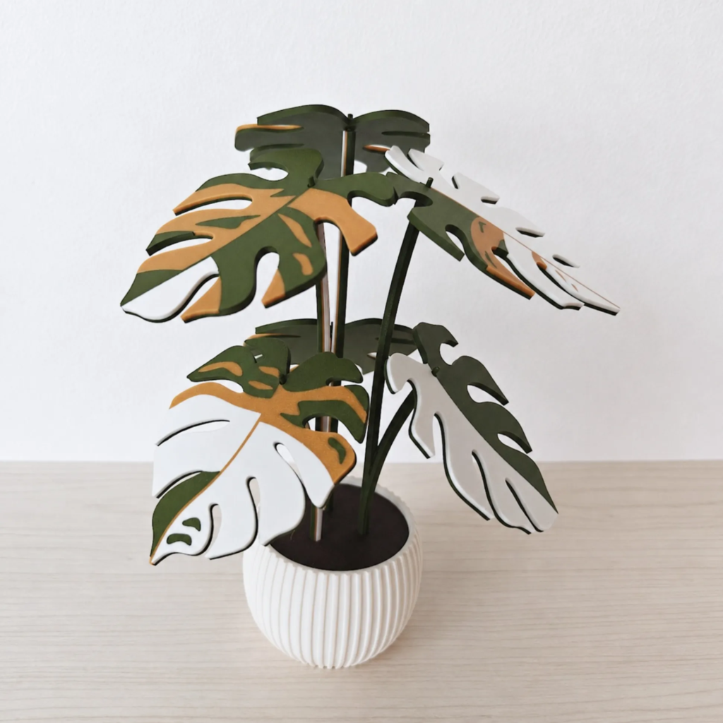 Monstera coaster color options
